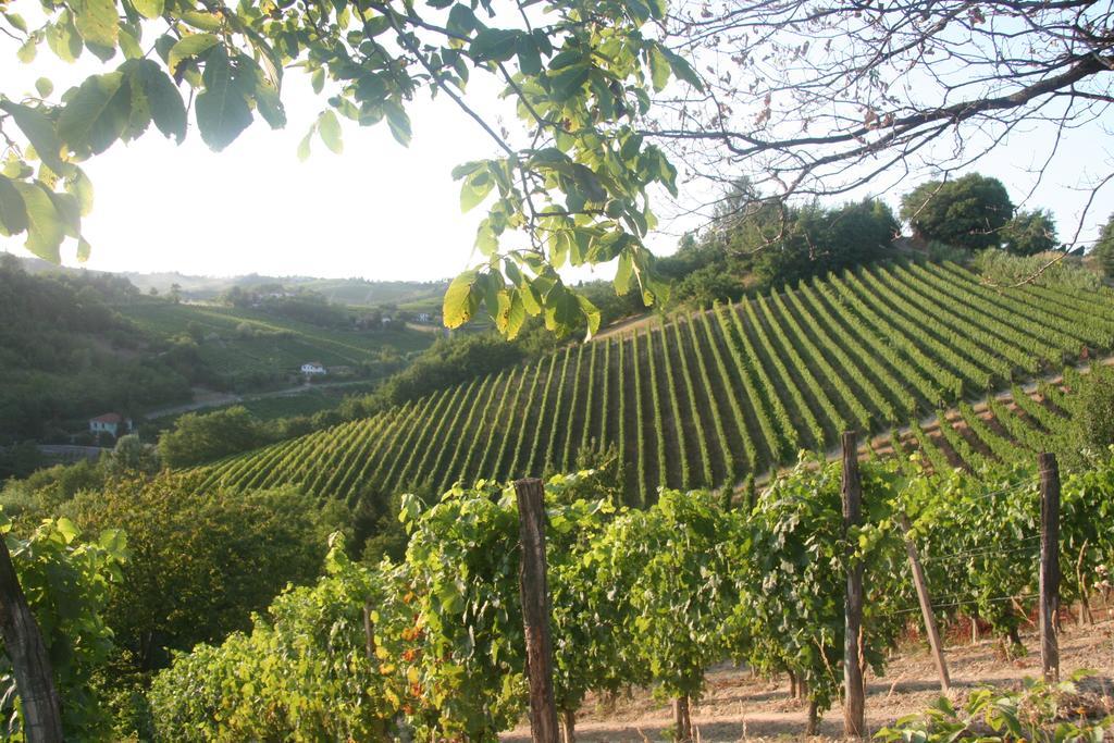 B&B Maggiora 131 Acqui Terme Zewnętrze zdjęcie